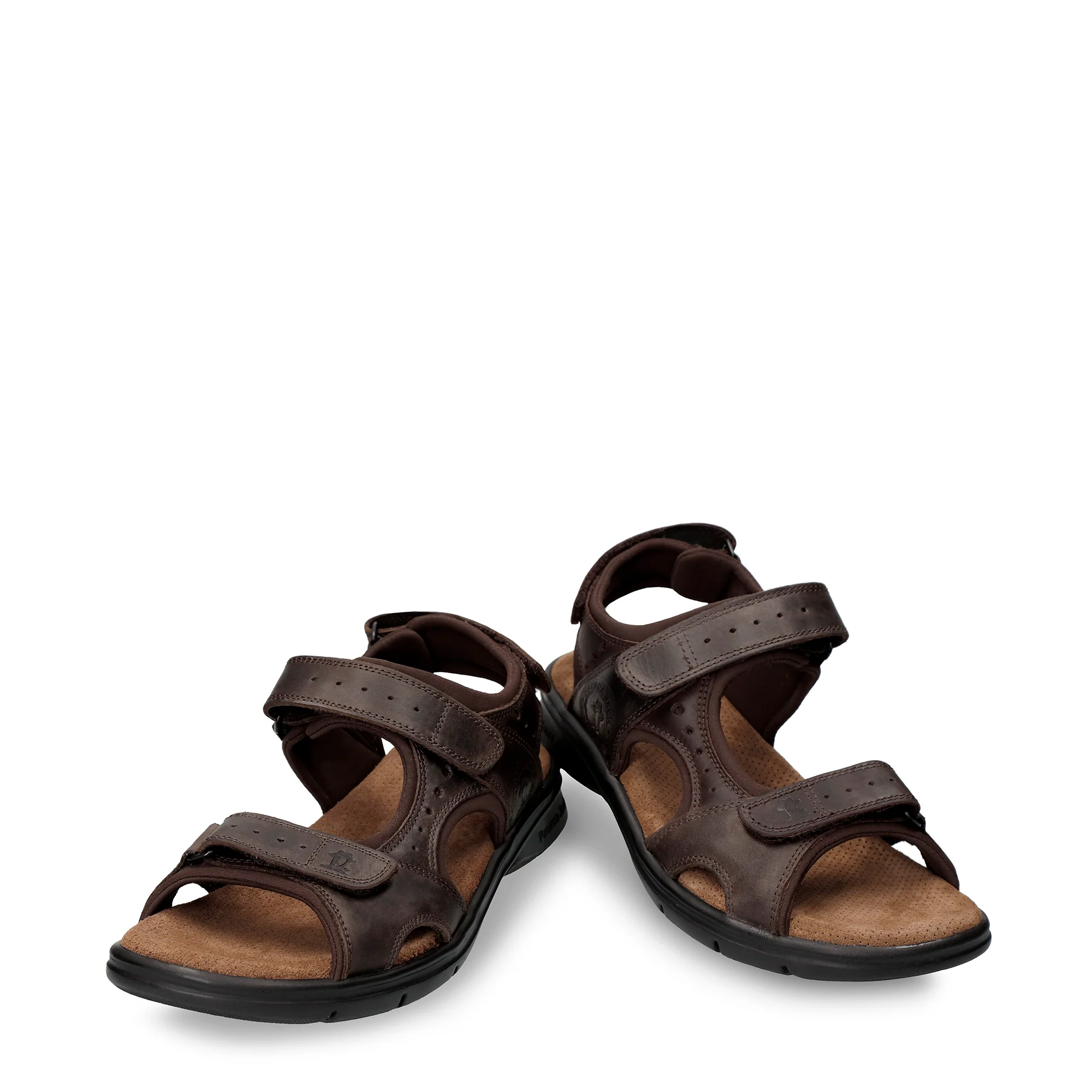 Salton Basics C1 Napa Grass Marron - Image 4