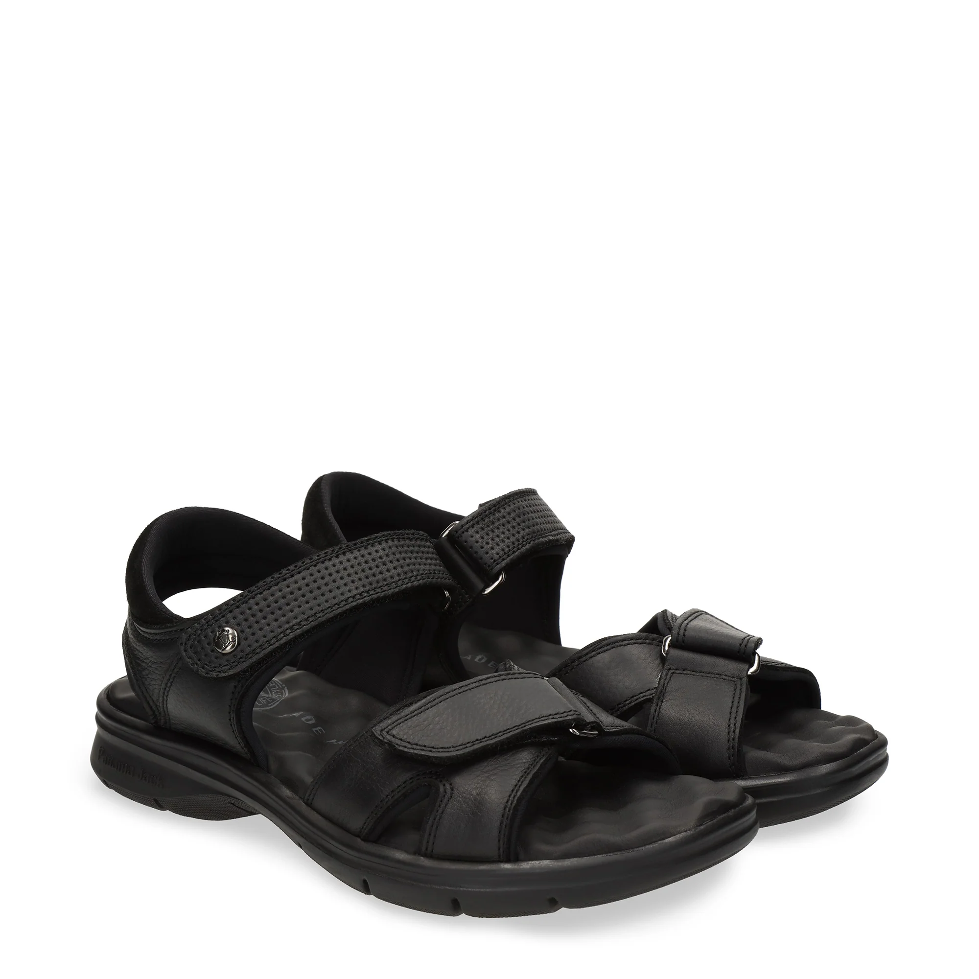 Sanders C18 Napa Grass Negro - Image 3