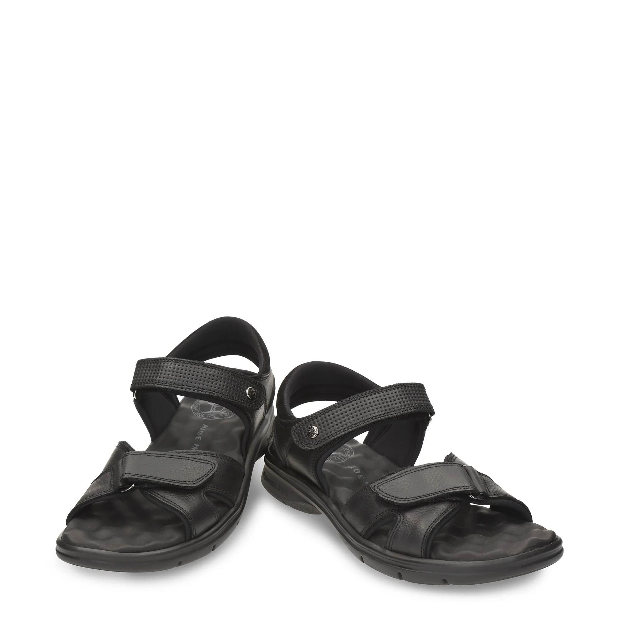 Sanders C18 Napa Grass Negro - Image 4