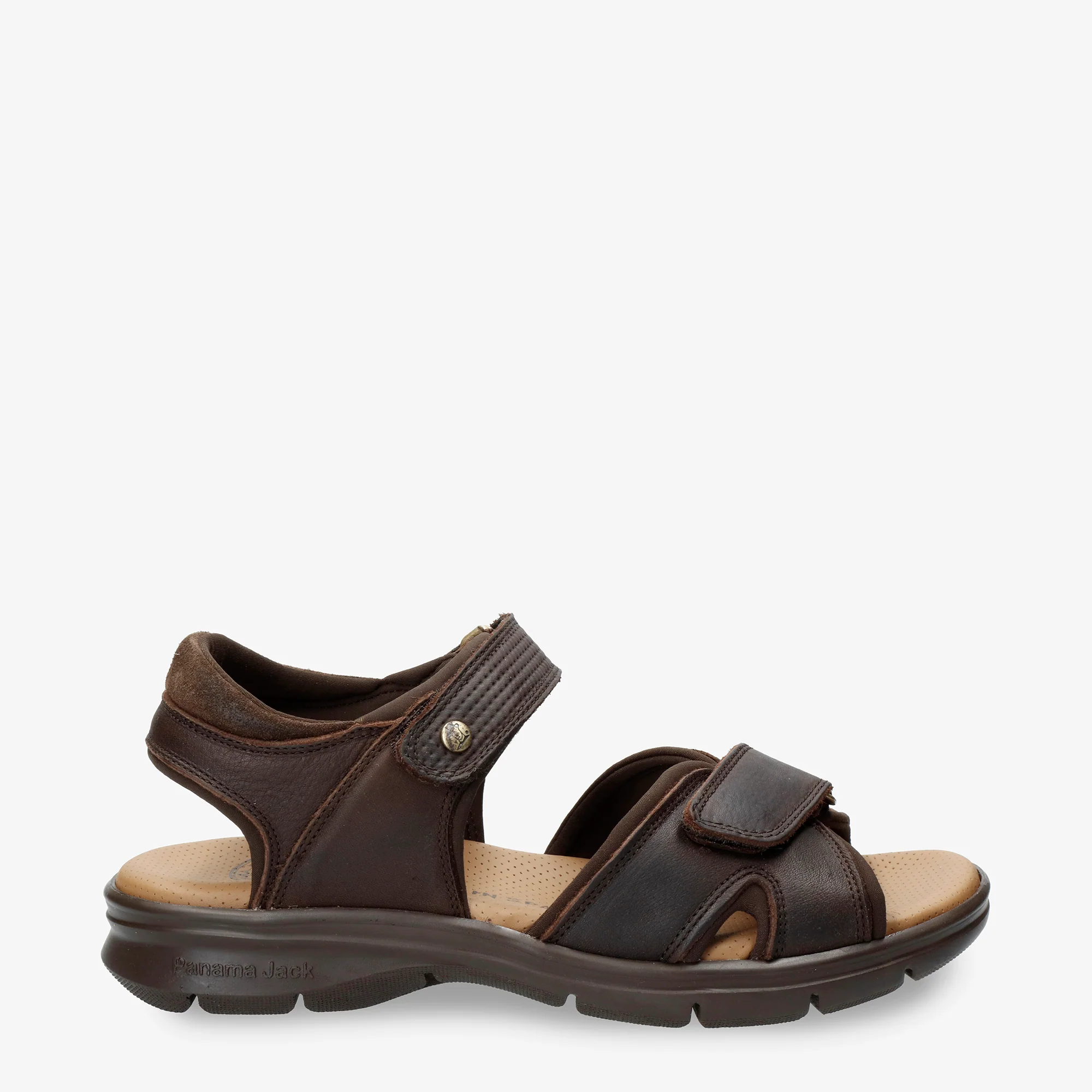 Sanders C25 Napa Grass Marron